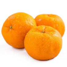 2021 New Crop China Fresh Sweet Juicy Citrus Mandarin Orange